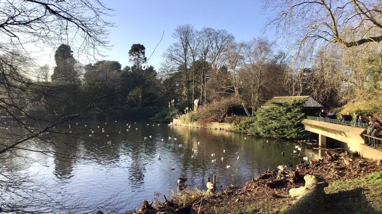 Kelsey Park